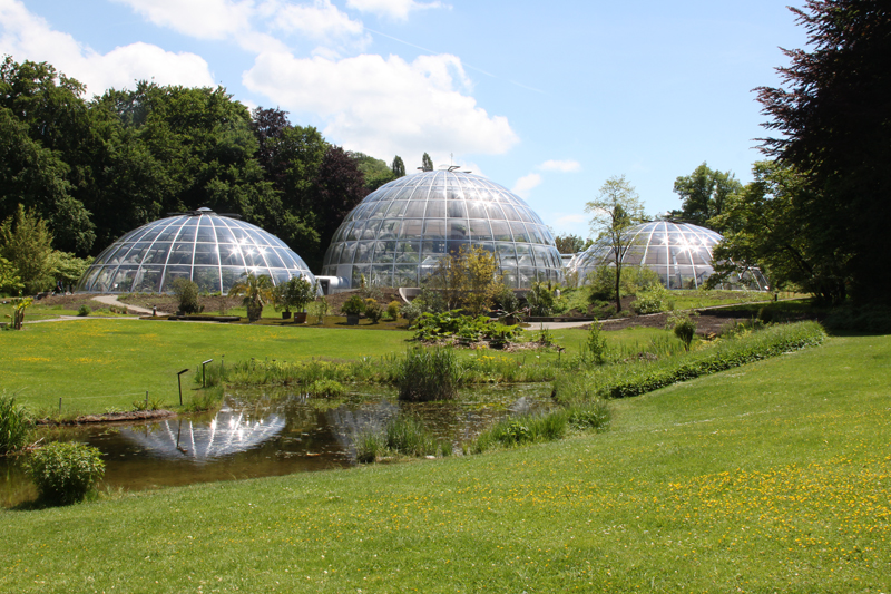 Neuer Botanischer Garten UZH